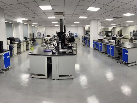 泰達(dá)龍頭企業(yè)產(chǎn)品順利通過FDA現(xiàn)場(chǎng)檢查，即將進(jìn)軍美國市場(chǎng)