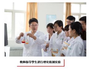 食品檢驗(yàn)檢測技術(shù) 技術(shù)手段、應(yīng)用與發(fā)展趨勢